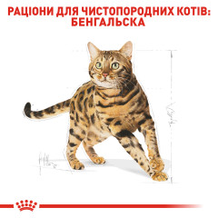 Корм для дорослих котів ROYAL CANIN BENGAL ADULT 2 кг